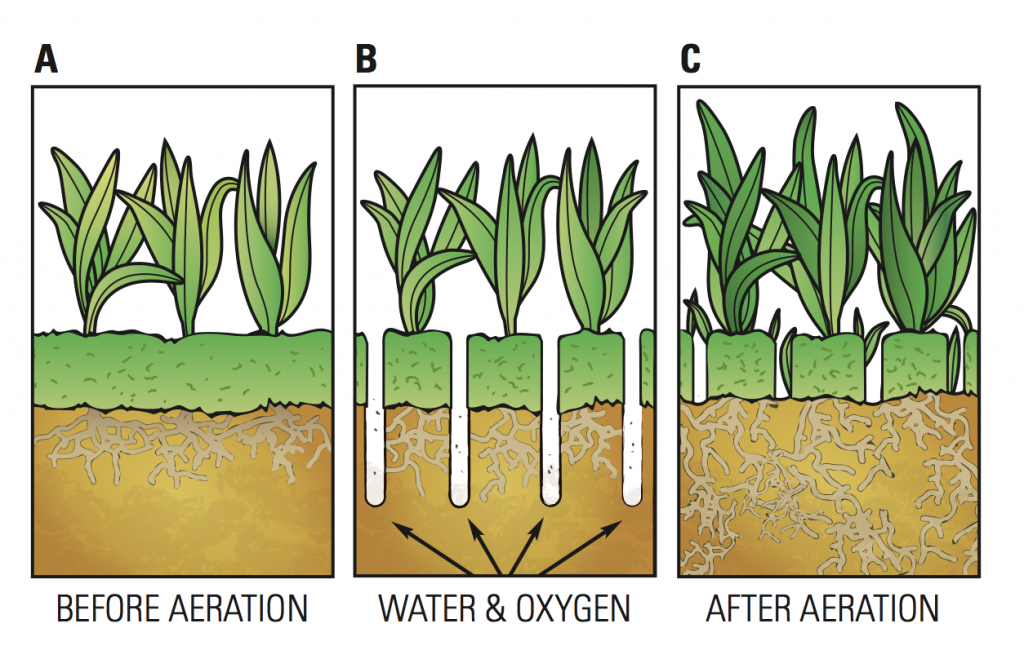 Elm City Aeration